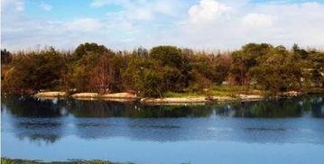 西安湿地公园爆料视频,自然美景引网友热议 第3张 西安湿地公园爆料视频,自然美景引网友热议 第3张